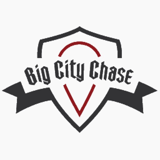 Big City Chase icon