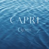 Capri E-Form