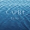 Capri is the second development under “O’South” series by Wheelock Properties