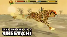 How to cancel & delete cheetah simulator 2