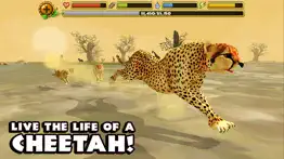 cheetah simulator iphone capturas de pantalla 1