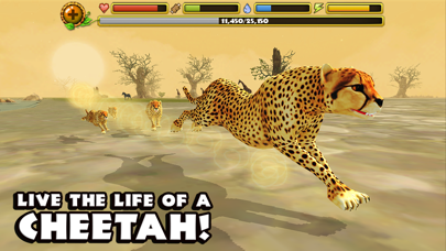 How to cancel & delete Cheetah Simulator from iphone & ipad 1