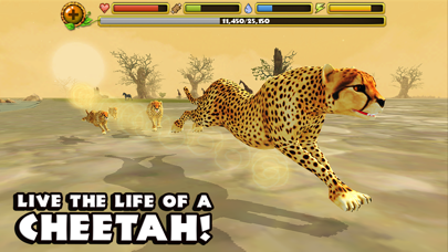 Cheetah Simulator screenshot 1