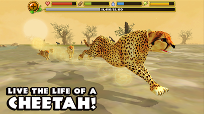 Cheetah Simulator Screenshot 1