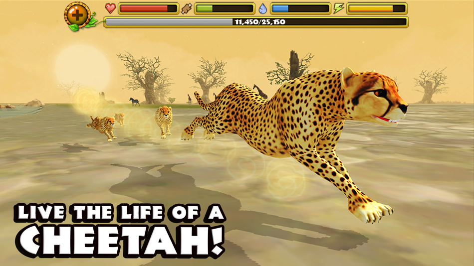 Cheetah Simulator - 1.2 - (iOS)