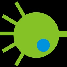 Neuron model RF-PSTH