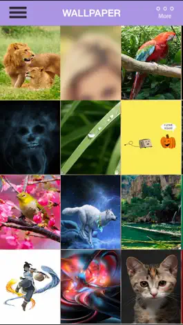 Game screenshot Wallpaper - Animal,Bird,Funny apk