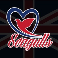 seagulls taxi pour PC