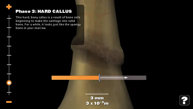Powers of Minus Ten - Bone screenshot 3 of 4