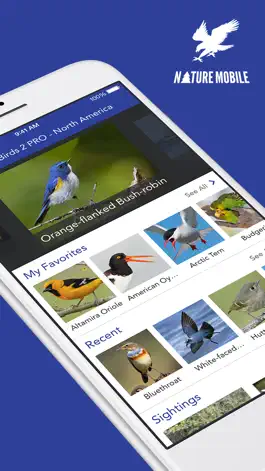 Game screenshot iKnow Birds PRO - USA mod apk