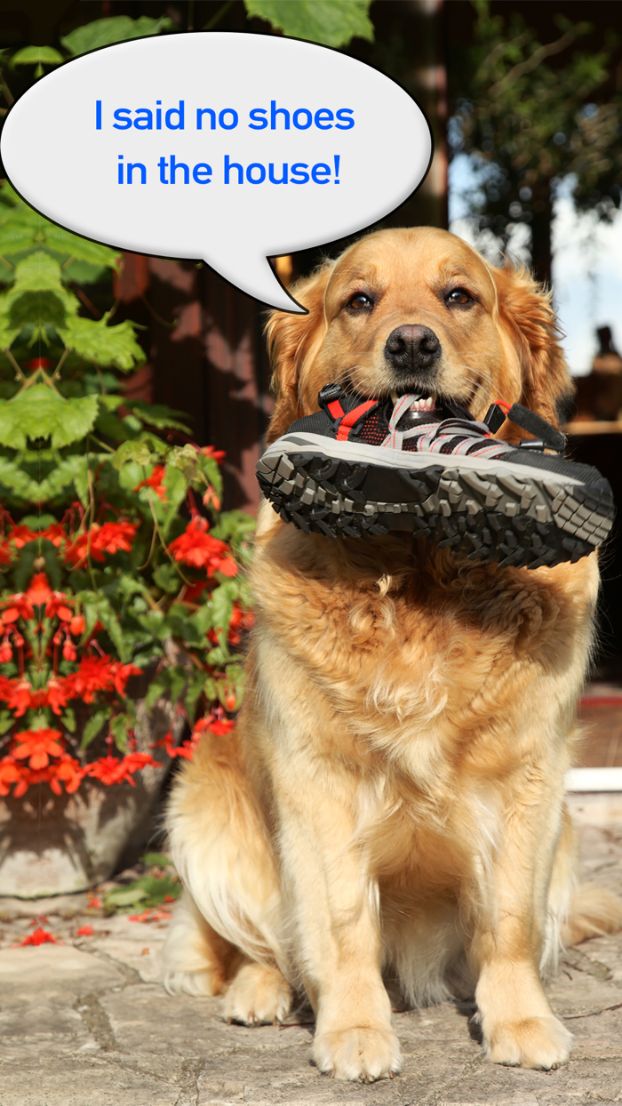 Write On Photos Add text