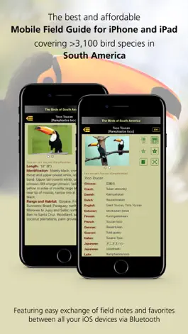 Game screenshot Birds of South America mod apk