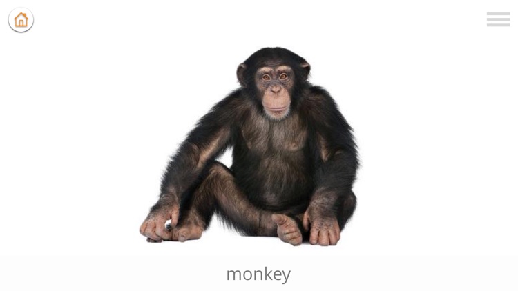 Play and Learn ENGLISH