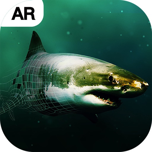 Discovery鲨鱼周 AR