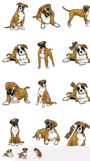 BoxerDogMoji(圖2)-速報App