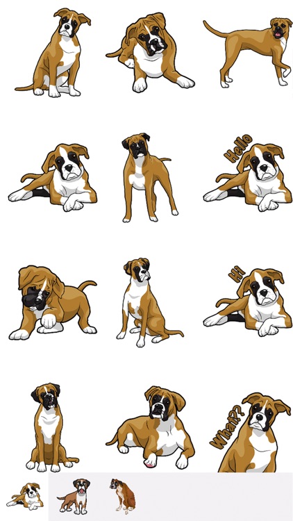 BoxerDogMoji