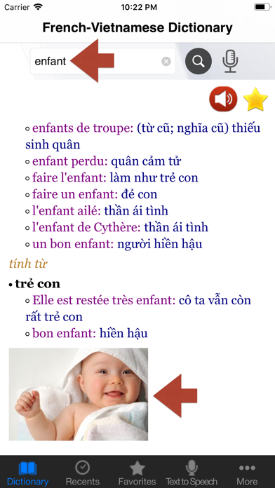 French-Vietnamese Dictionary Screenshot