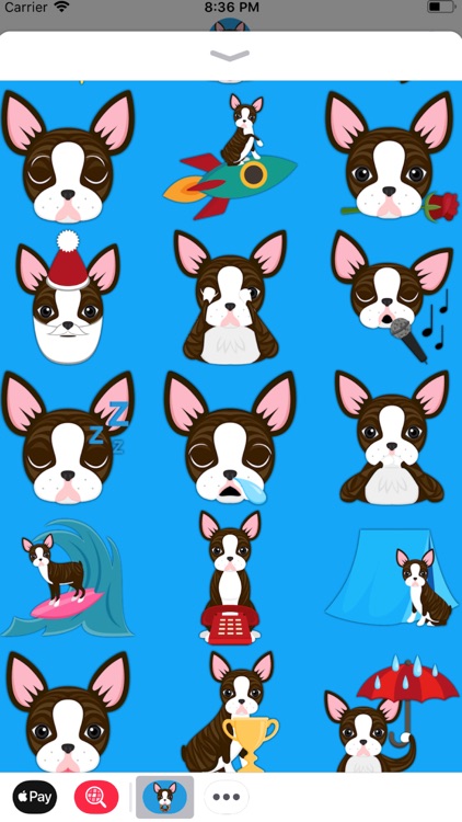 Brindle Boston Terrier Emoji