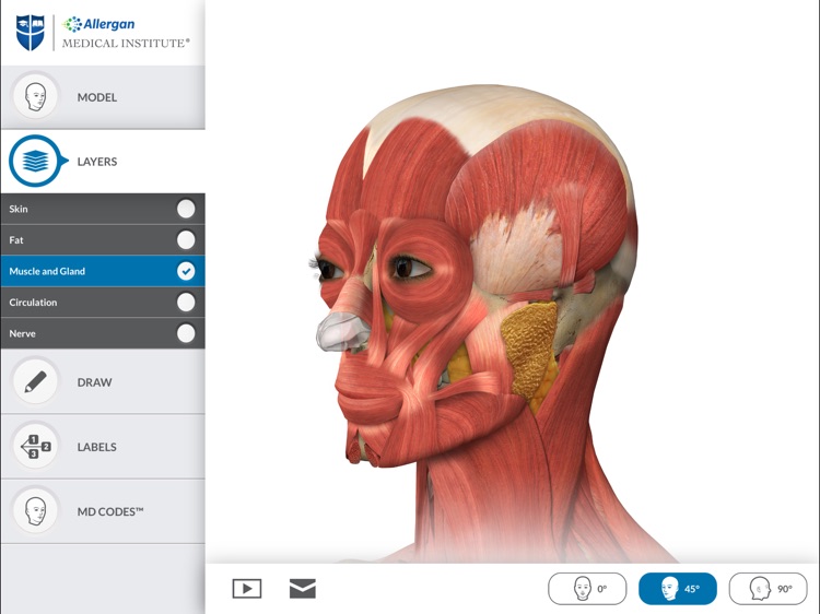 Interactive Anatomy - KW