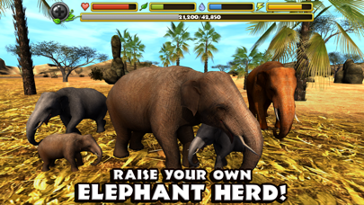 Elephant Simulator screenshot 2