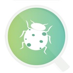 Download InsectSnap - Insect Identifier app