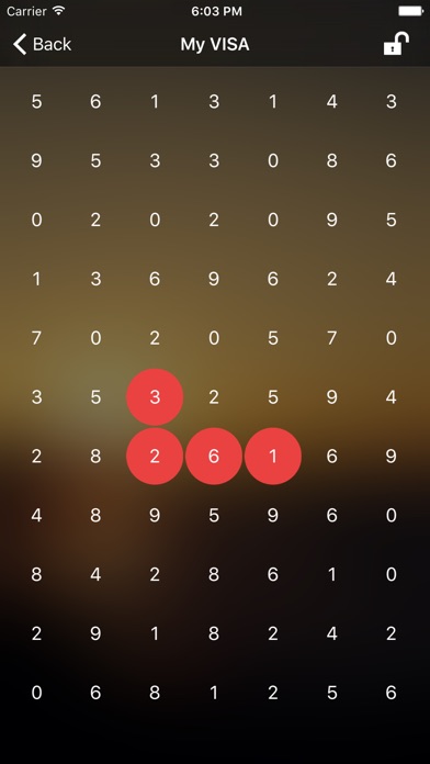 PIN Master iPhone PIN Master iPhone