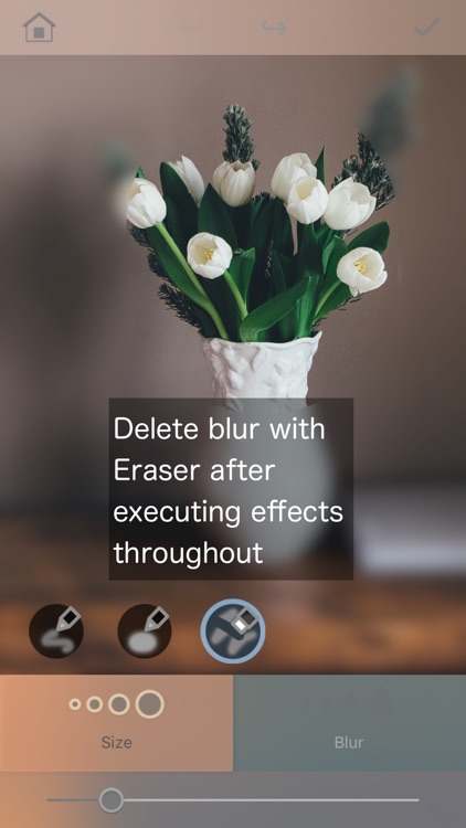 Bokasoon - Blur Background & Hide Face with Blur screenshot-3