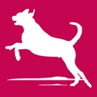 Top 29 Business Apps Like Bunker Hill Kennel - Best Alternatives