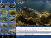 fish id - freshwater fish uk ipad bildschirmfoto 1