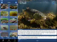 Fish Id - Freshwater Fish UK ipad bilder 0