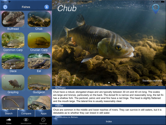 Screenshot #4 pour Fish Id - Freshwater Fish UK