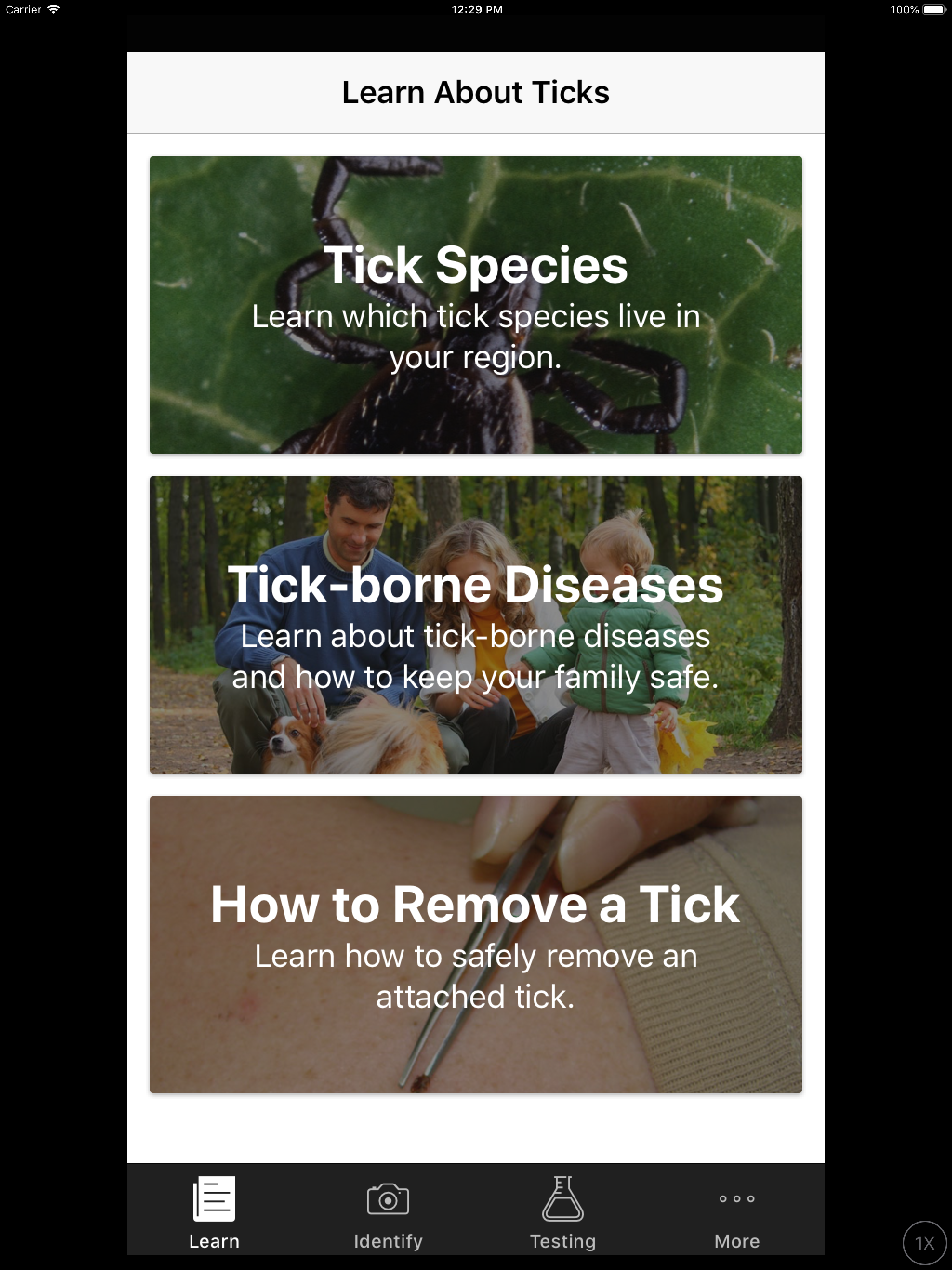 TickReport