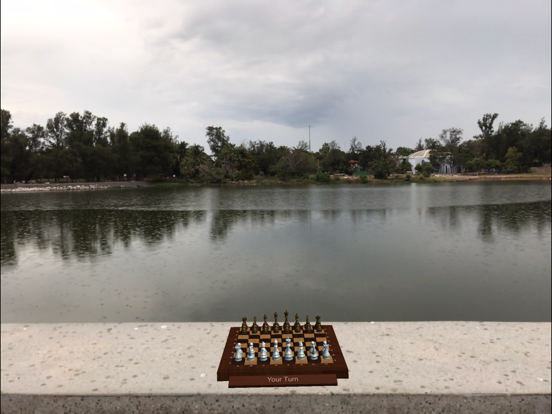 Screenshot #5 for AR Chess+