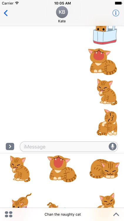 Chan the naughty cat