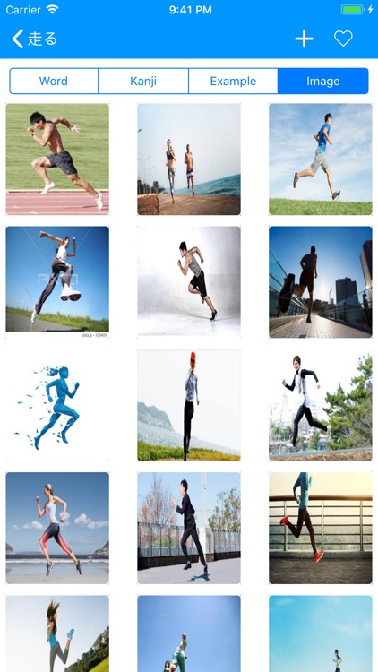 Jisho Japanese Dictionary screenshot-5