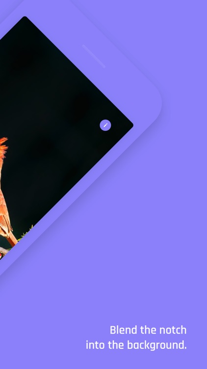 Notchless - Wallpapers