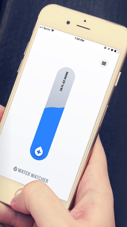 Water Watcher - Daily Reminder