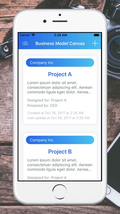 Business Model Canvas 2 Screenshot 1