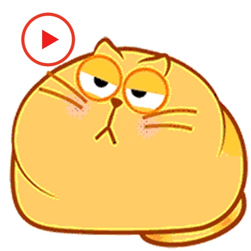 Animated Fat Cat Stickers icon