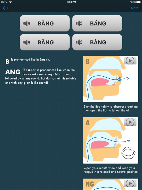Standard Mandarin iPad screenshot 1 - Education app