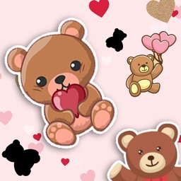 Cute Bear Match Find The Pair