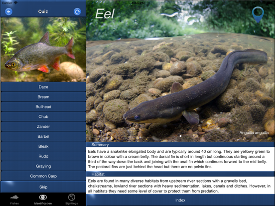 Screenshot #5 pour Fish Id - Freshwater Fish UK