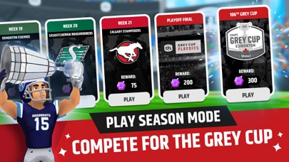 CFL Football Frenzy screenshot 3