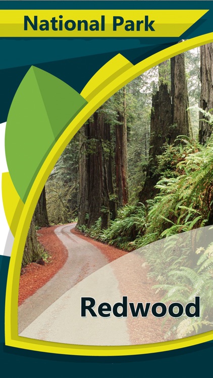 Redwood In- National Park