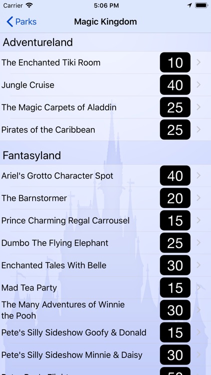 Wait Times for Disney World