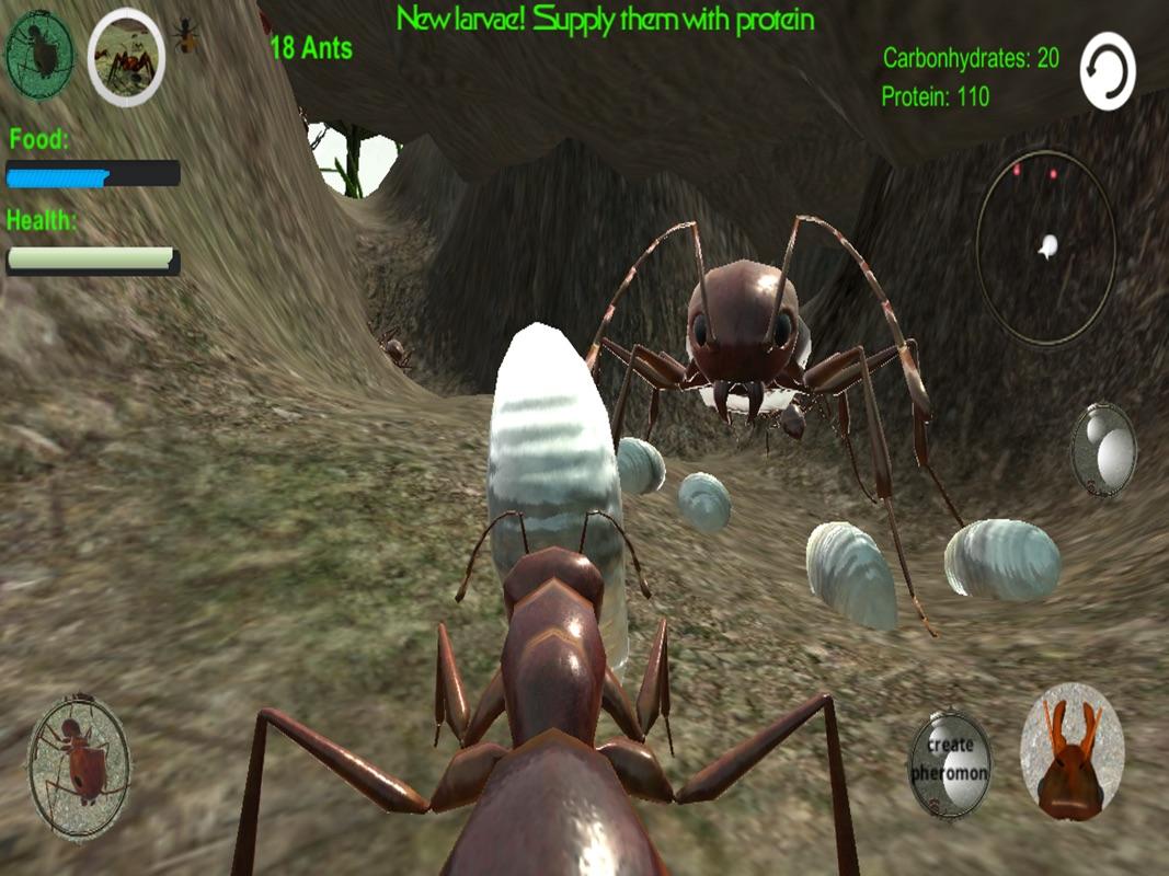 all-the-codes-for-ant-colony-simulator-alpha-strucidcodes