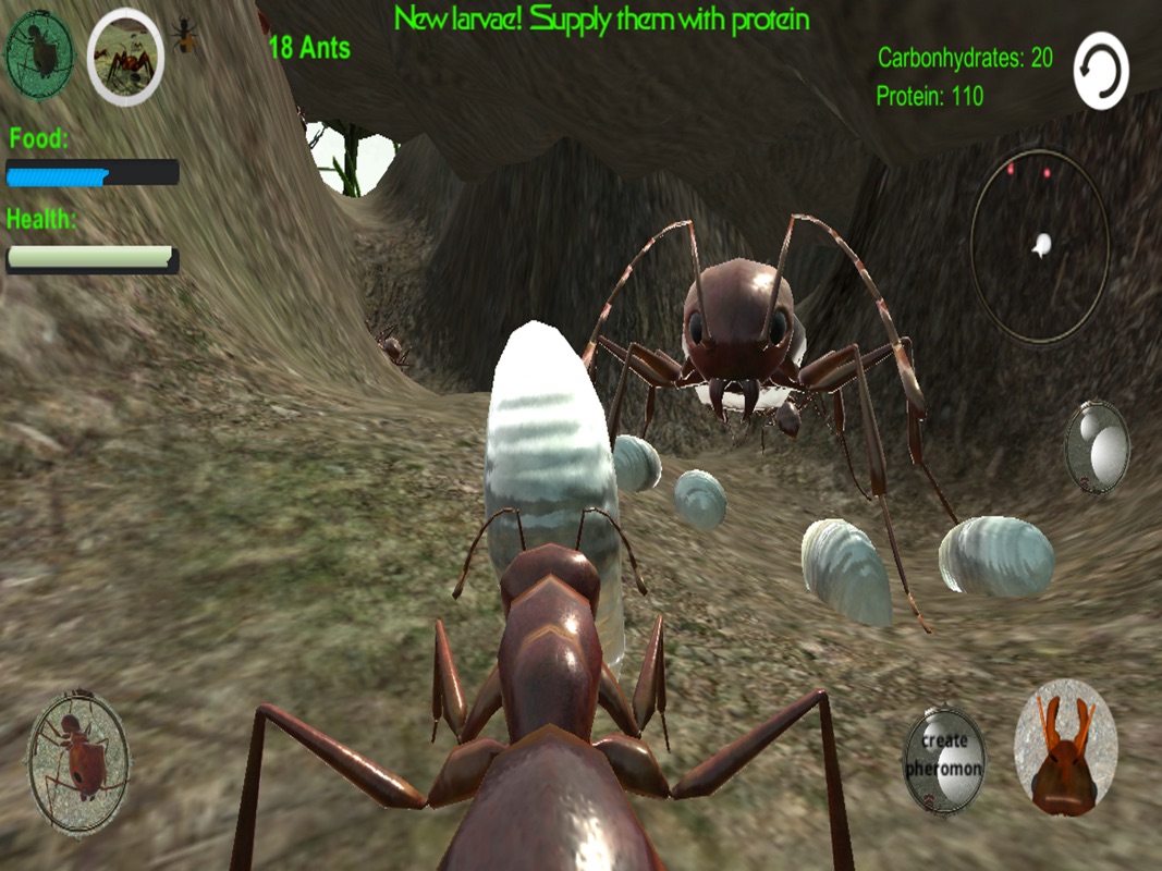 ant-colony-simulator-codes-ant-colony-simulator-alpha-codes-ant-colony-optimization