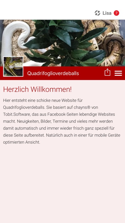 Quadrifoglioverdeballs