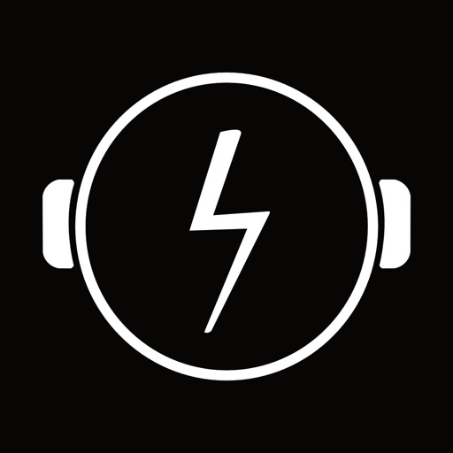 Electric Coffee Roasters