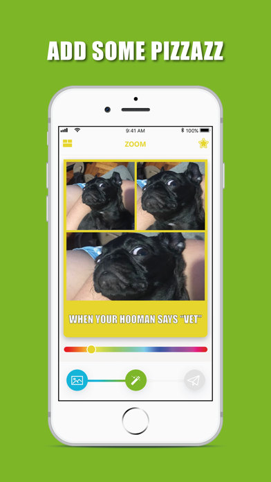 Screenshot #2 pour ZOOMeme